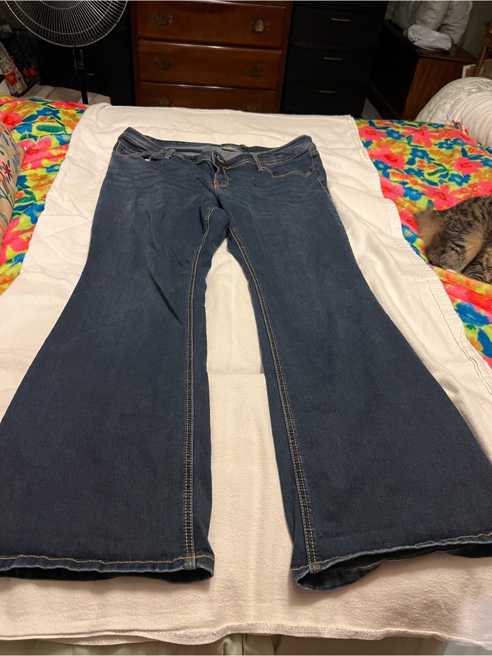 torrid Dark Blue Flared Jeans